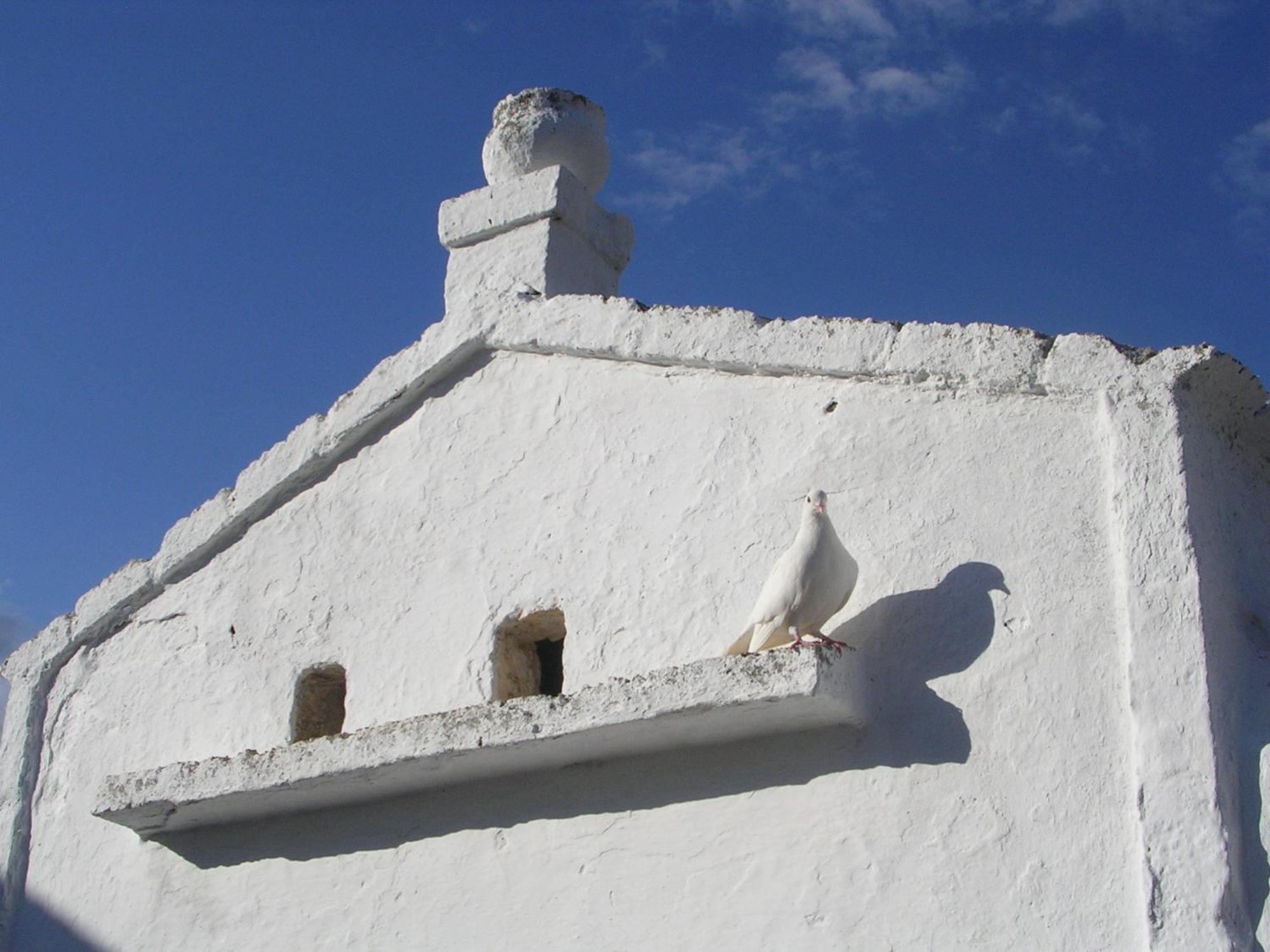 Masseria Purgatorio Фазано Экстерьер фото