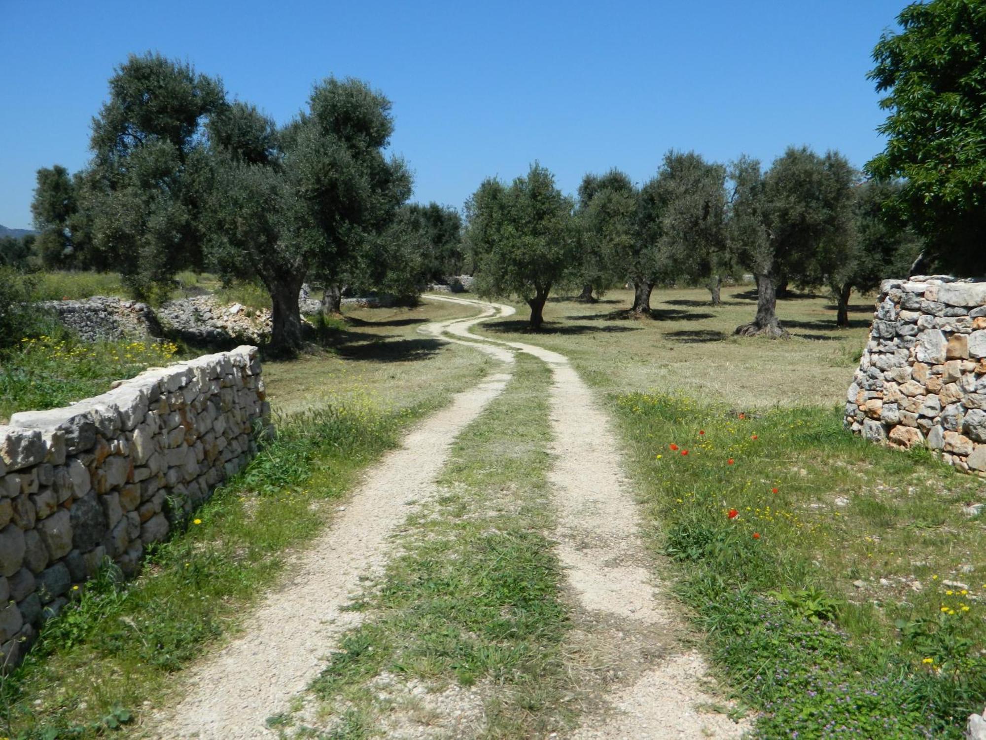 Masseria Purgatorio Фазано Экстерьер фото