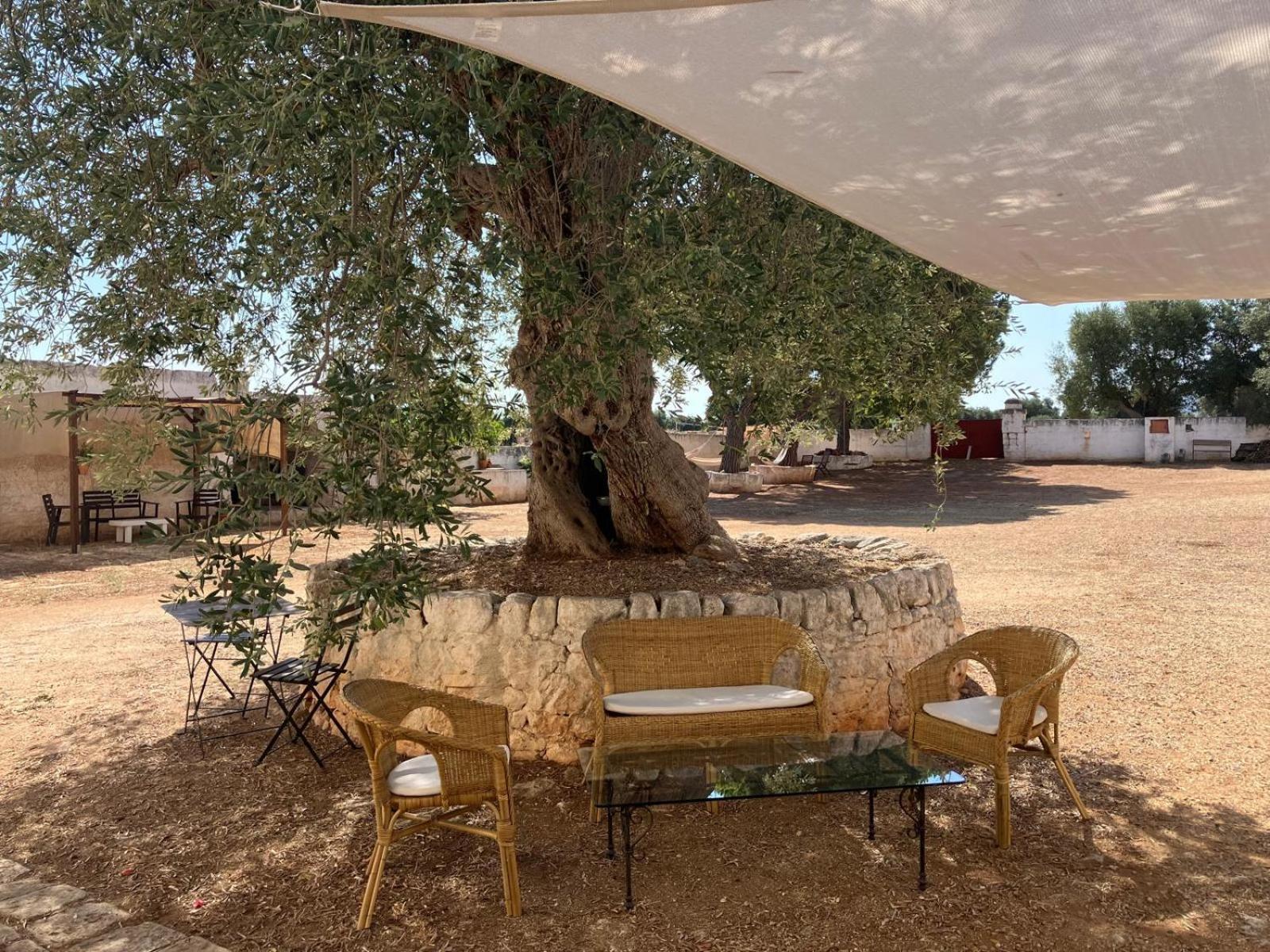 Masseria Purgatorio Фазано Экстерьер фото