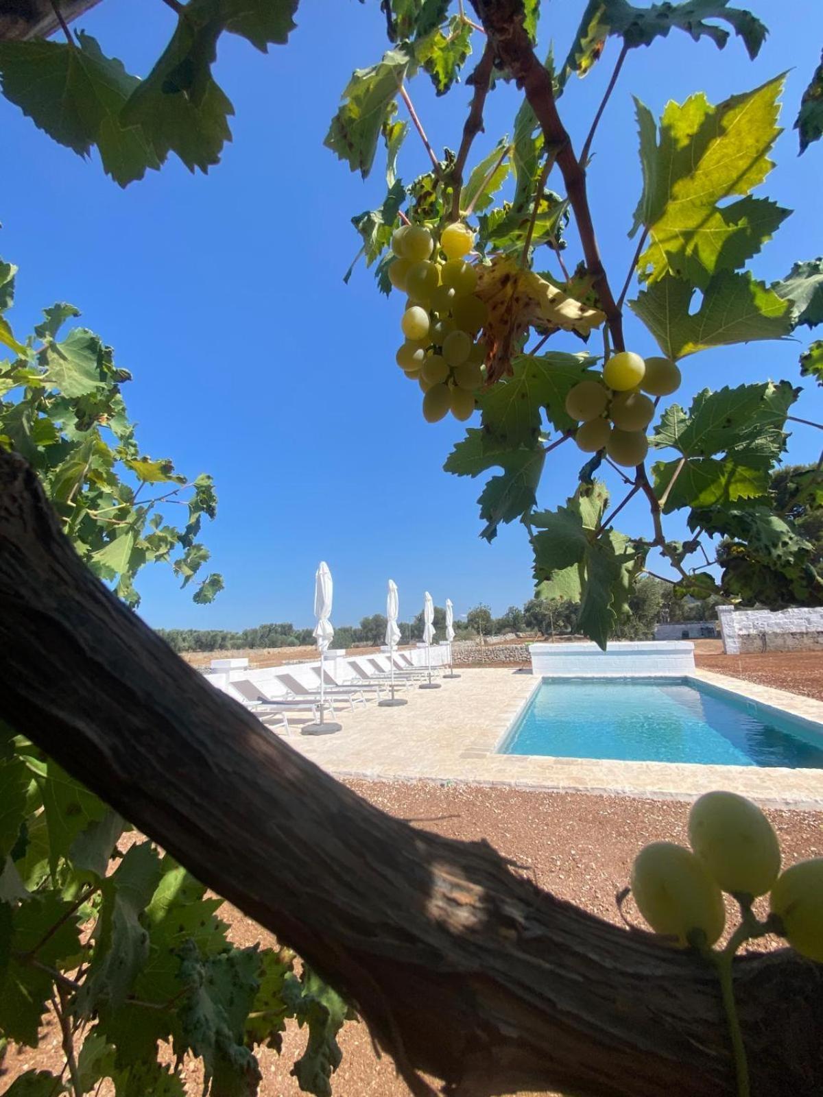 Masseria Purgatorio Фазано Экстерьер фото
